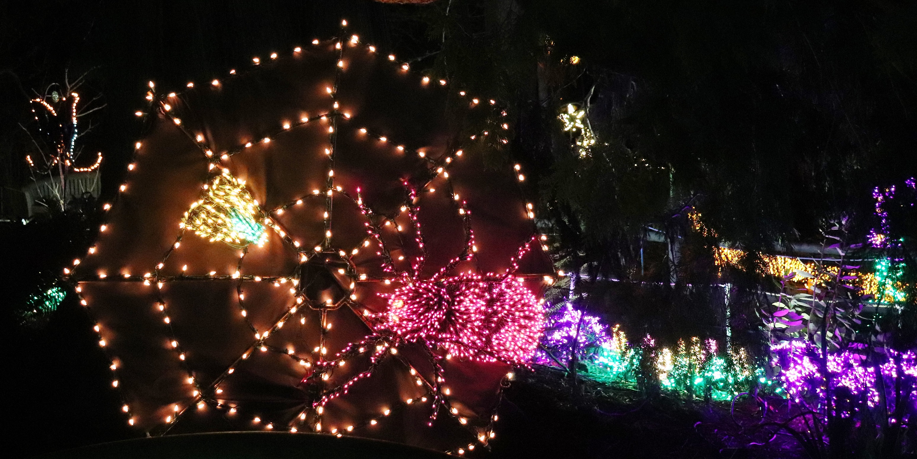 bellevuelightsspider122018 bish6