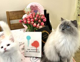 Charlotte, Sylvia, the Poetics of Wrongness, and tulips